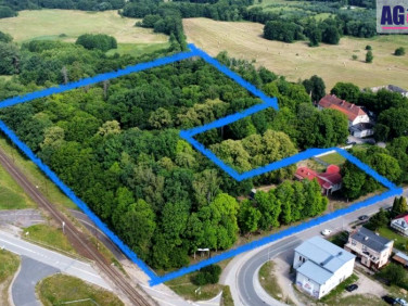 Działka inwestycyjna Bożepole Wielkie
