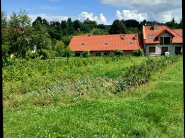Działka budowlana Chojnik