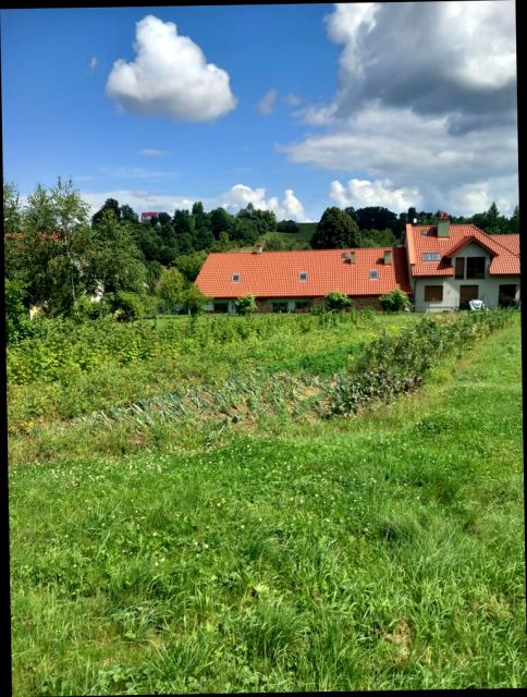 Działka budowlana Chojnik