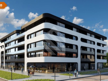 Lokal Bydgoszcz