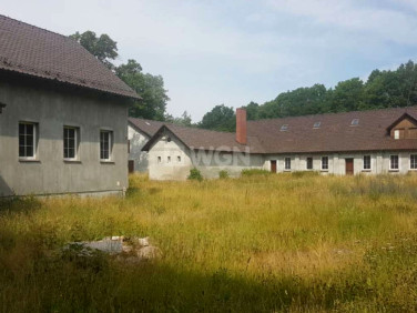 Dom Ruszów