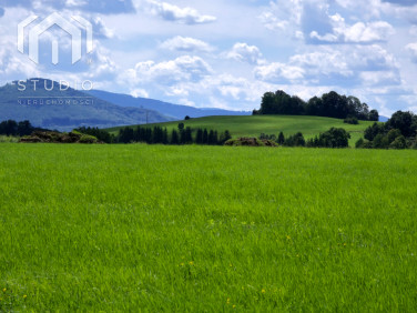 Działka Międzyrzecze Górne