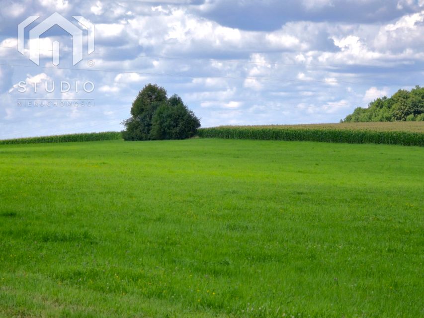 Działka Międzyrzecze Górne