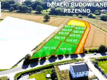 Działka Pszenno