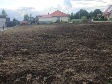 Działka budowlana Dąbrowa Chełmińska
