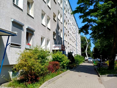 Mieszkanie Poznań