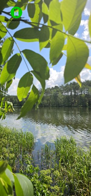 Działka budowlana Koronowo