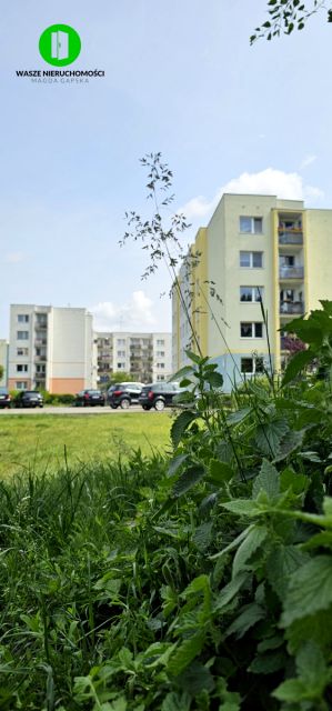 Mieszkanie przy lesie