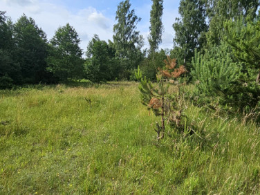 Działka Nowy Jasiniec