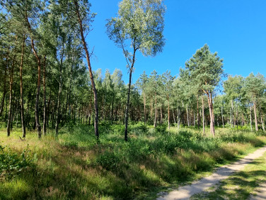 Działka budowlana Karczewko