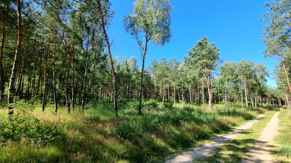 Działka budowlana Karczewko