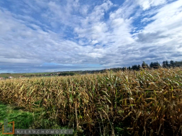 Pusta działka Cianowice małe