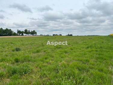 Działka budowlana Studzionka sprzedam