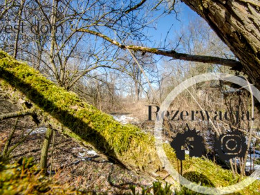 Działka Lipinki