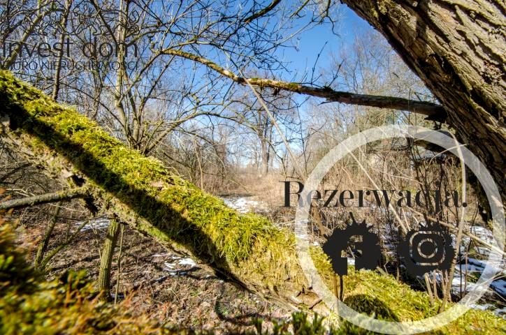 Działka Lipinki