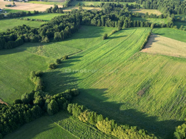 Działka rolna Wilkostowo