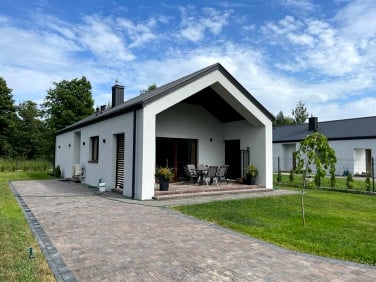 Dom Korzeń