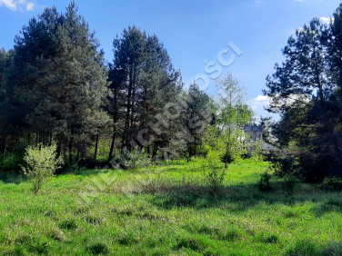 Działka Lipno