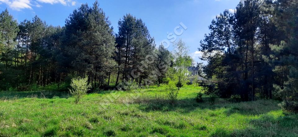 Działka Lipno