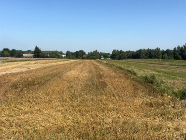 Działka budowlano-rolna Lubojenka