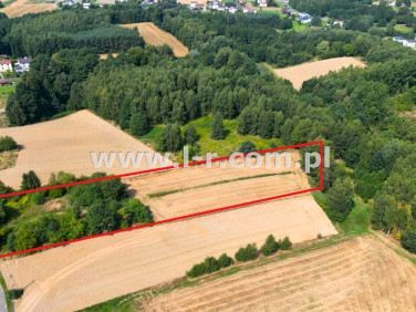 Działka Gogołowa