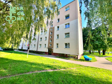 Mieszkanie Wejherowo