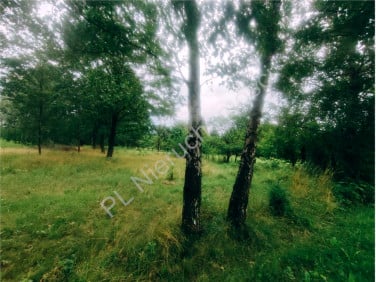 Działka rolna Górki sprzedam