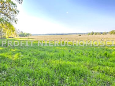 Działka budowlana Nowęcin