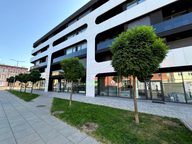 Lokal Bydgoszcz