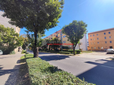 Mieszkanie Świdnica