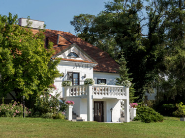 Lokal Trębki Nowe
