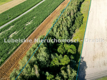 Działka Rozkopaczew