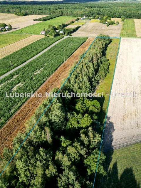 Działka Rozkopaczew