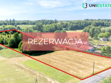 Działka przy lesie