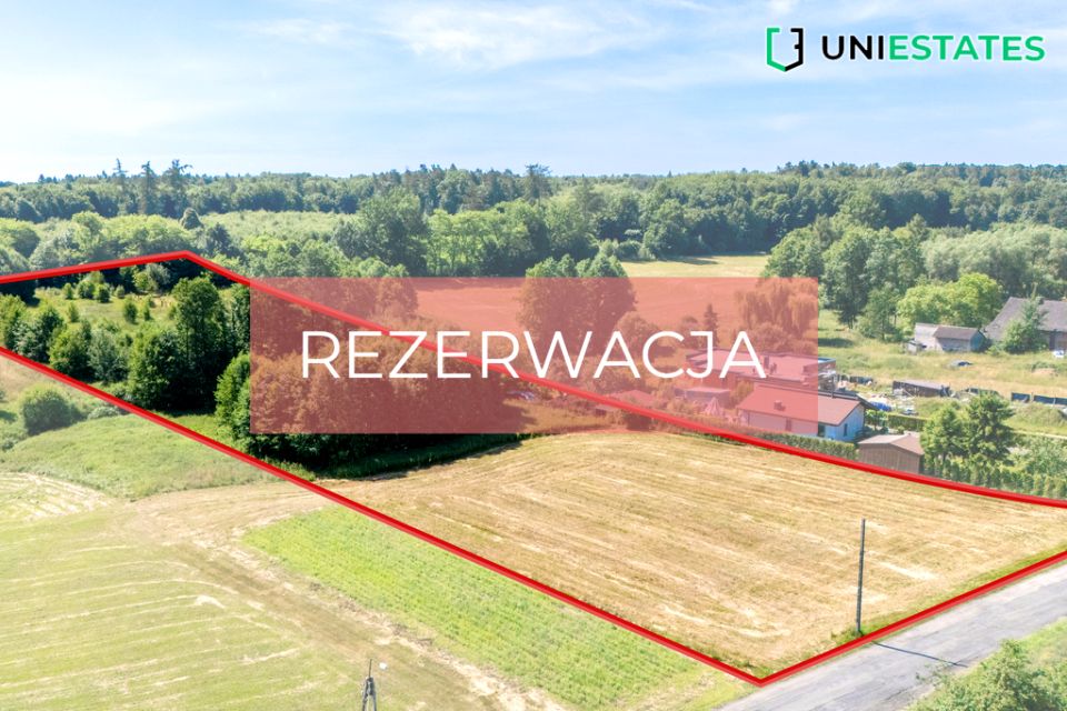 Działka przy lesie