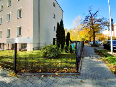 Lokal Poznań