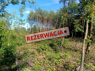 Działka Żdżary