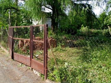 Działka budowlana Koluszki