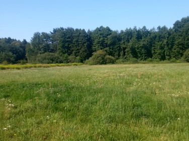 Działka rolna Placydów