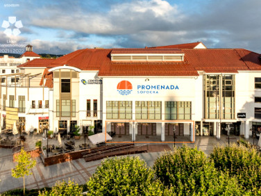 Lokal Sopot