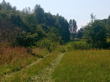 Działka rolna Placydów
