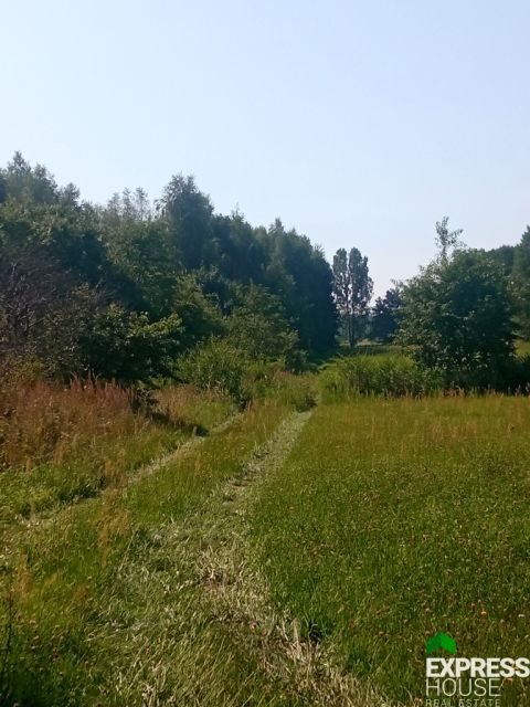 Działka rolna Placydów