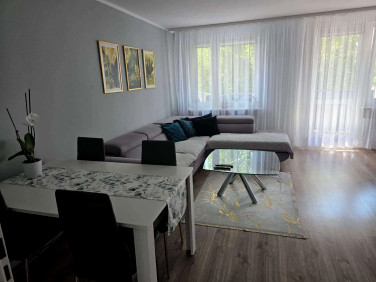 Mieszkanie Jelenia Góra sprzedaż