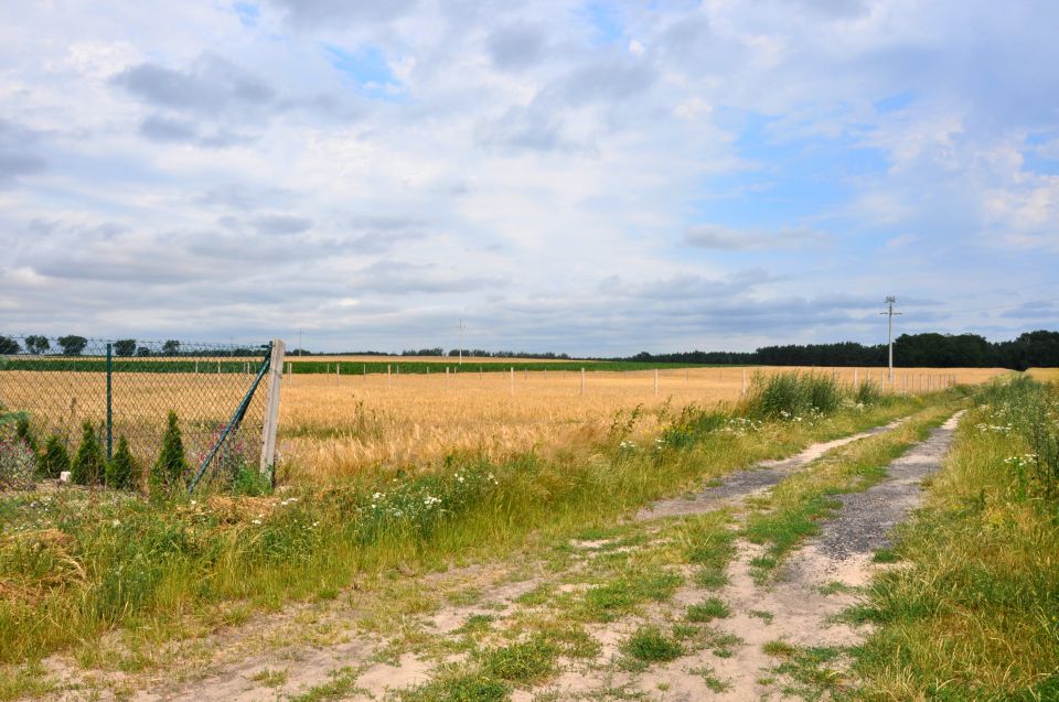 Działka Lisówki
