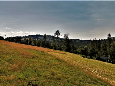 Działka budowlana sprzedam