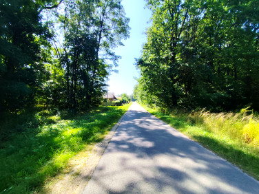 Działka budowlana Kazimierz Dolny