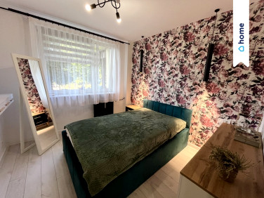 Mieszkanie Sosnowiec sprzedaż