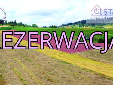 Działka Klikuszowa