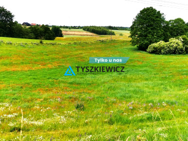 Działka przy lesie