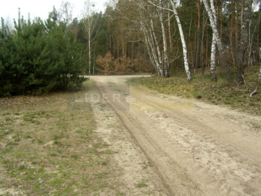 Działka budowlana Dębina